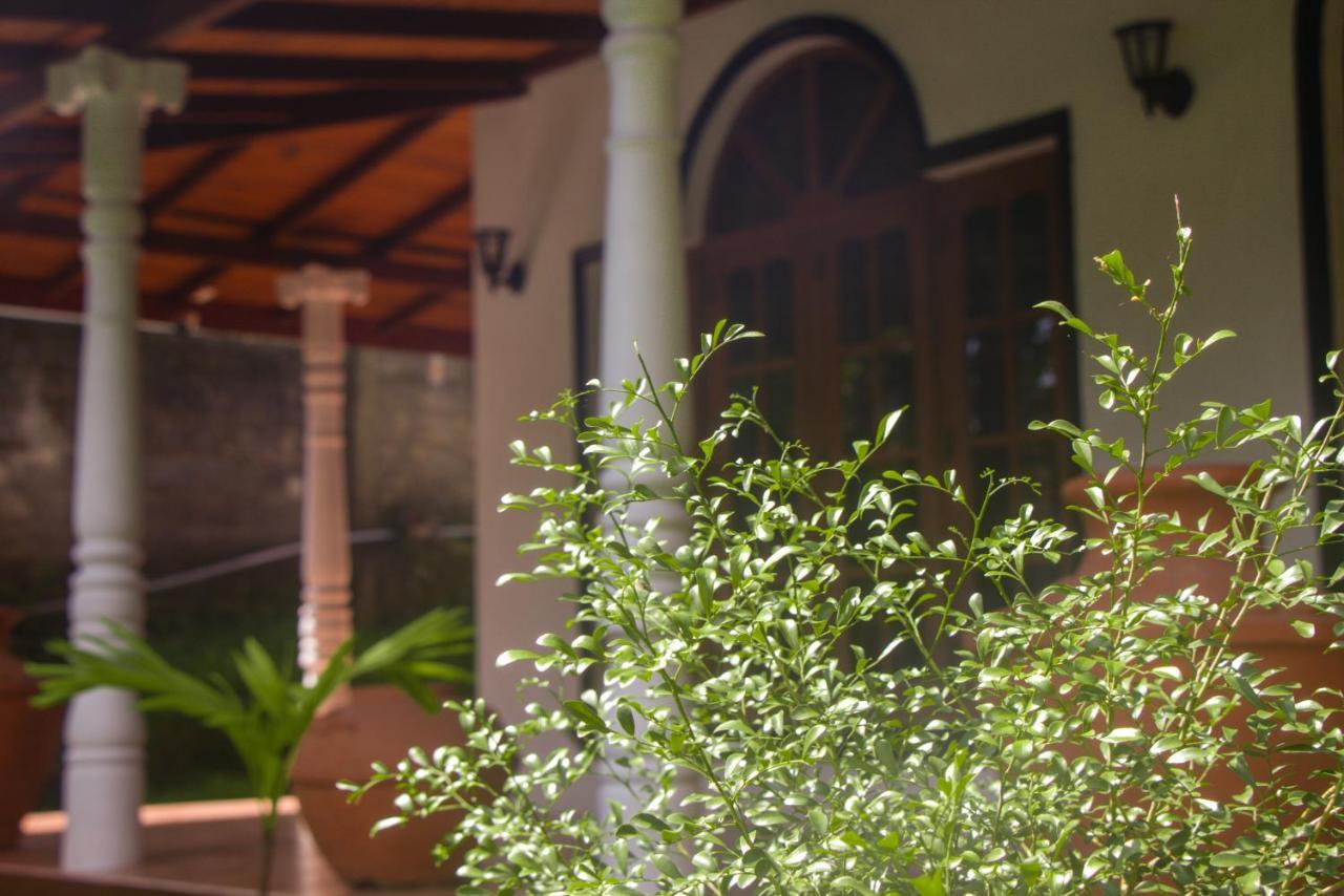Jungle View Guesthouse Unawatuna Buitenkant foto